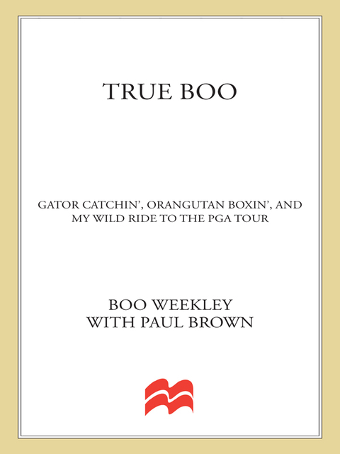 Cover image for book True Boo