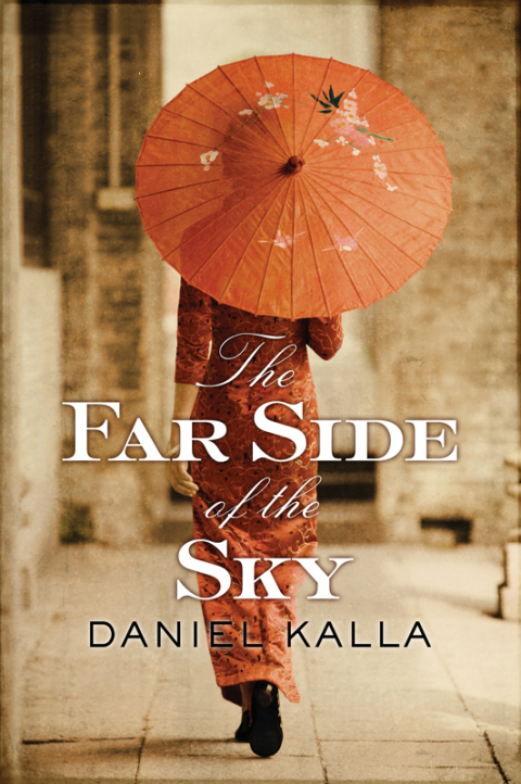 Cover image for book The Far Side of the Sky
