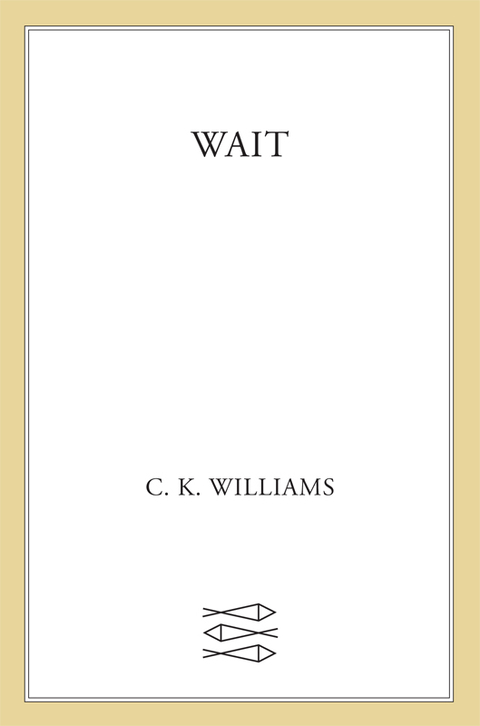 Cover image for book Wait