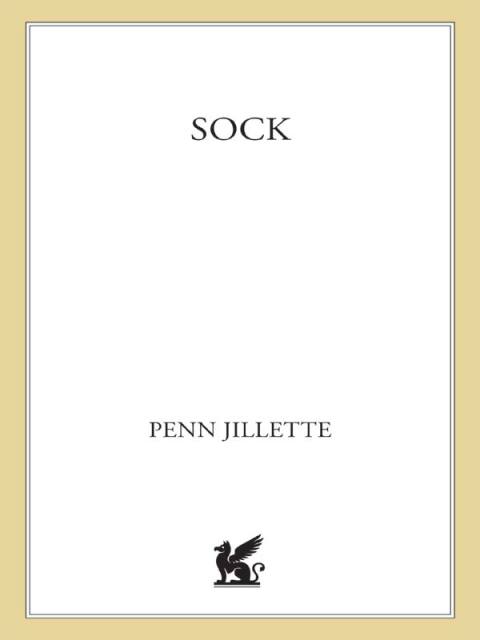 Cover image for book Sock