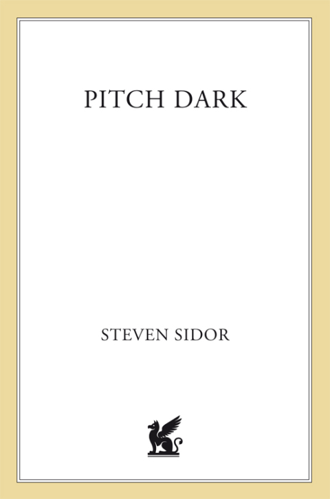Cover image for book Pitch Dark