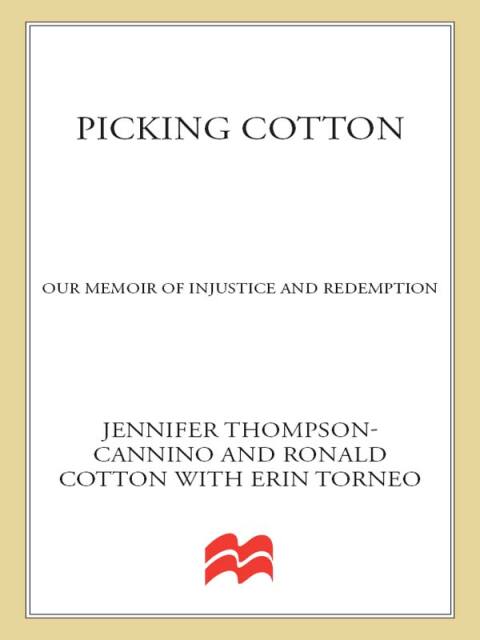 Cover image for book Picking Cotton