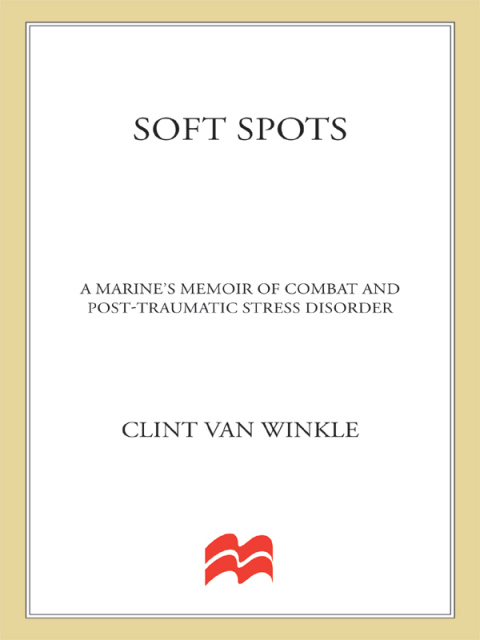 Cover image for book Soft Spots