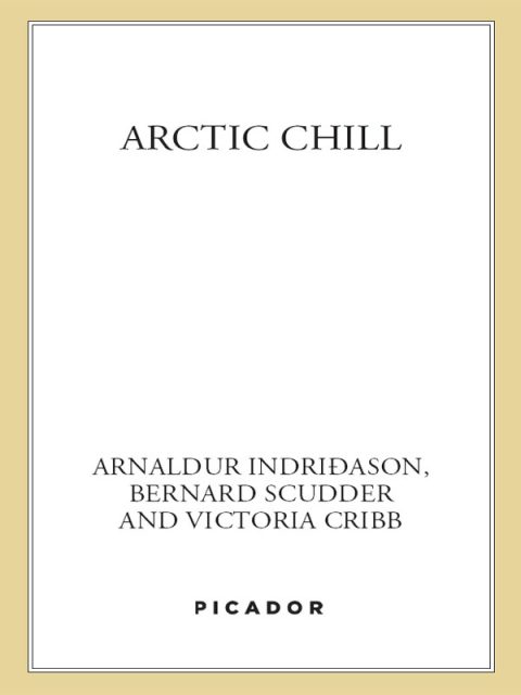 Cover image for book Arctic Chill