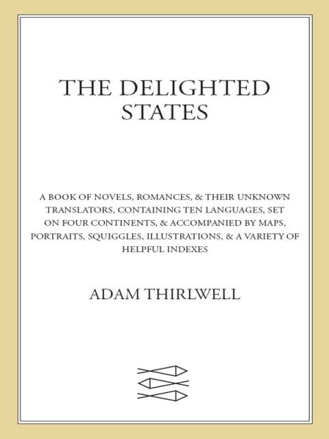 Cover image for book The Delighted States