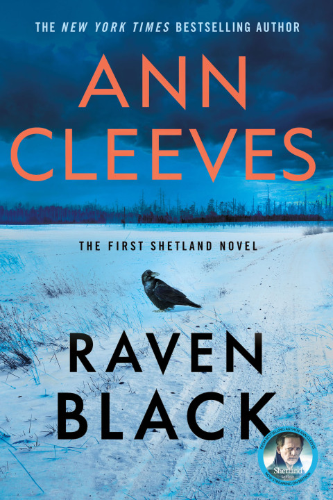 Cover image for book Raven Black