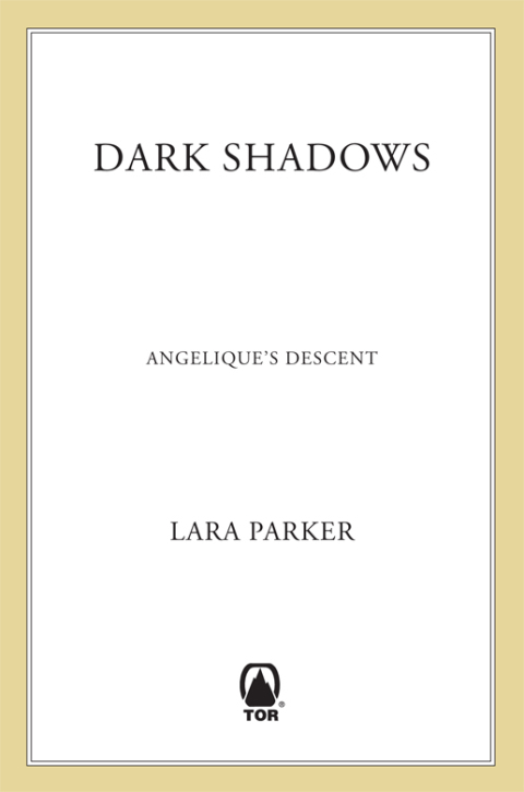 Cover image for book Dark Shadows: Angelique's Descent