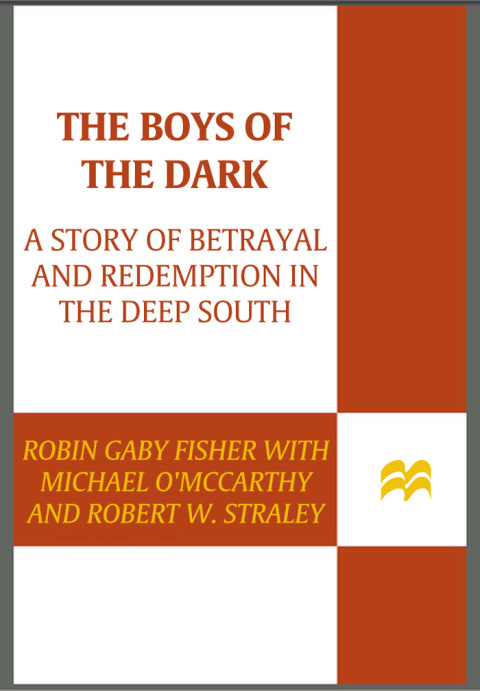 Cover image for book The Boys of the Dark