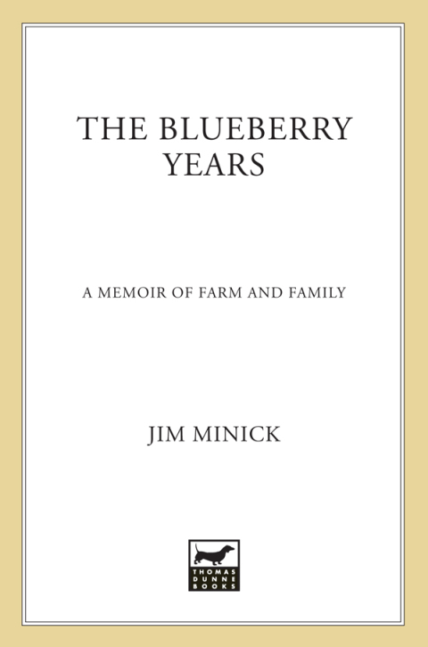 Cover image for book The Blueberry Years
