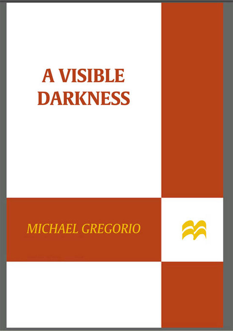 Cover image for book A Visible Darkness