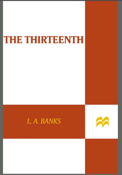 Cover image for book The Thirteenth