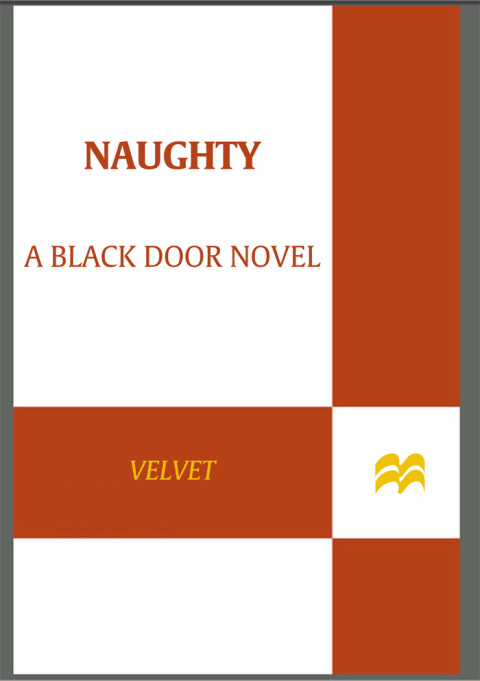 Cover image for book Naughty