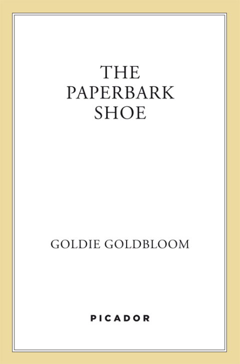Cover image for book The Paperbark Shoe