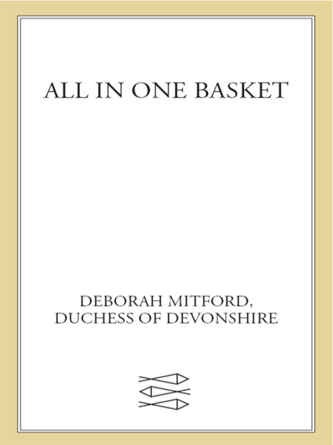 Cover image for book All in One Basket