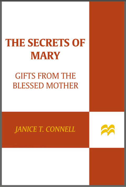 Cover image for book The Secrets of Mary