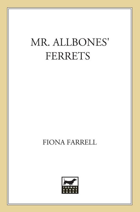 Cover image for book Mr. Allbones' Ferrets