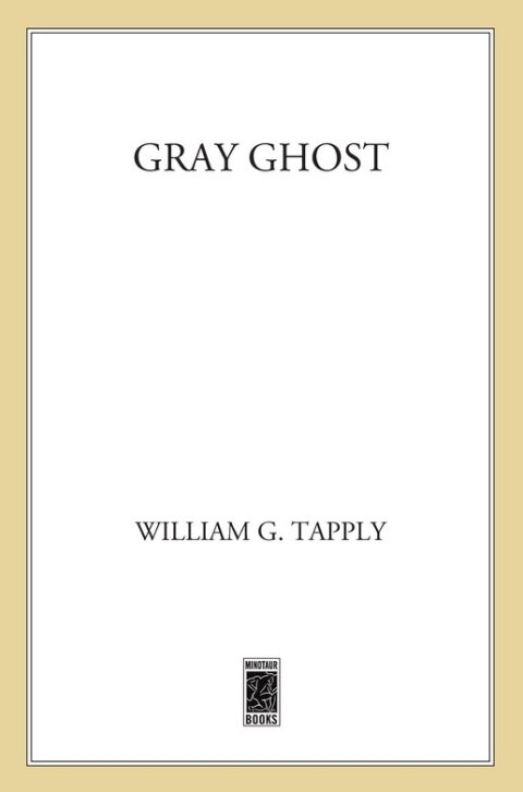 Cover image for book Gray Ghost