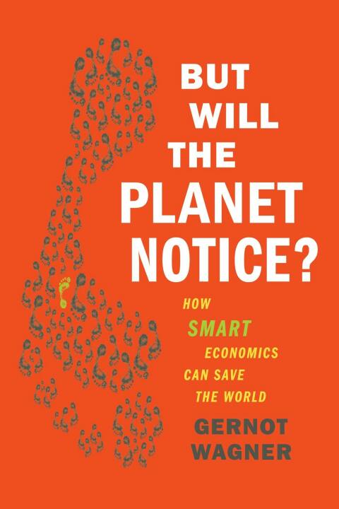Cover image for book But Will the Planet Notice?