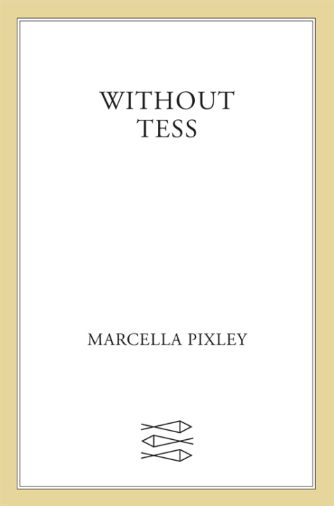 Cover image for book Without Tess