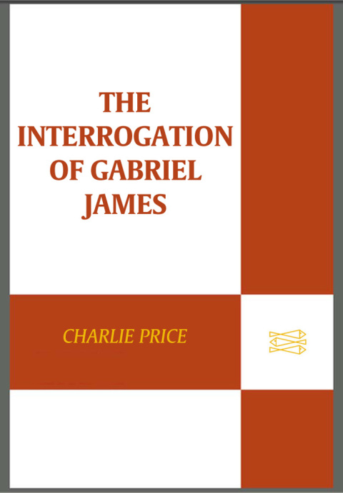 Cover image for book The Interrogation of Gabriel James