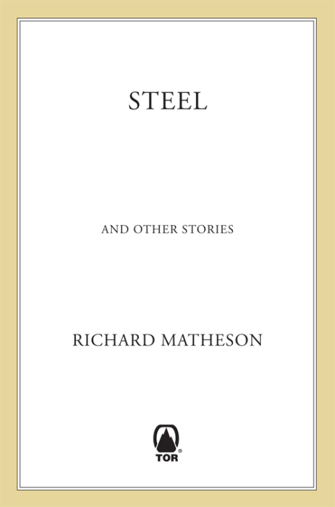 Cover image for book Steel