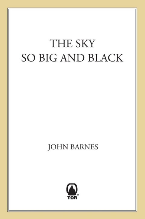 Cover image for book The Sky So Big and Black