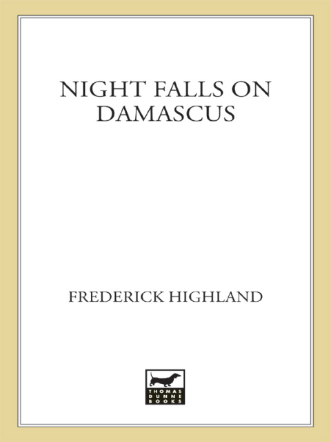 Cover image for book Night Falls on Damascus