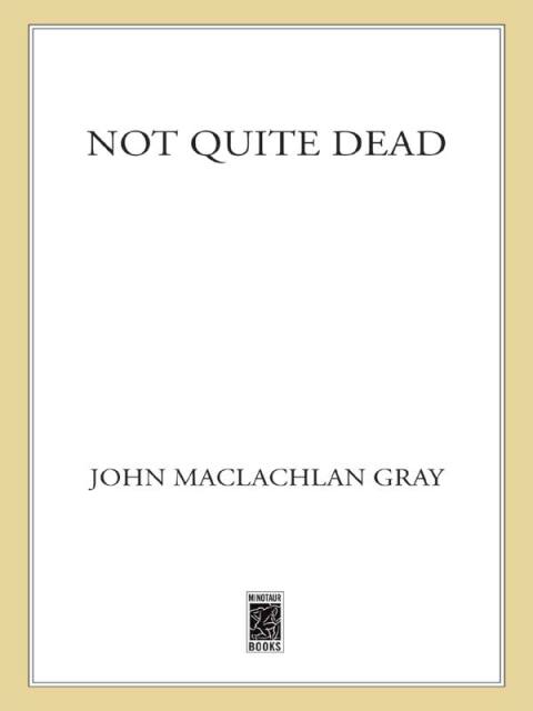 Cover image for book Not Quite Dead