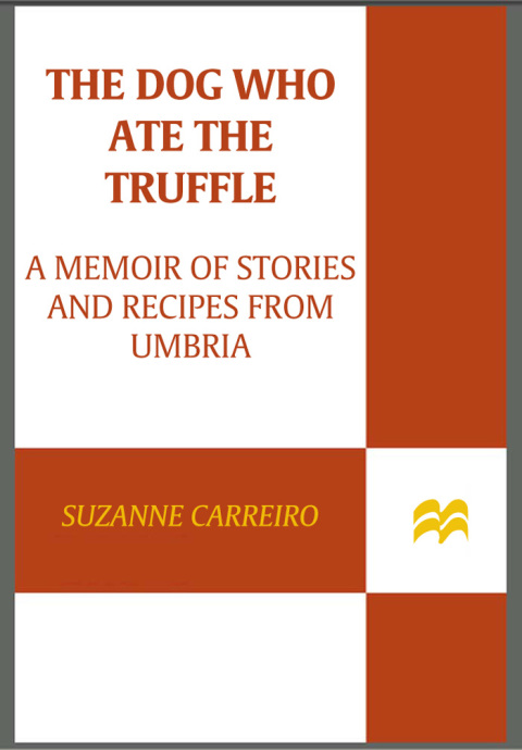 Cover image for book The Dog Who Ate the Truffle