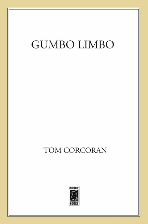 Cover image for book Gumbo Limbo