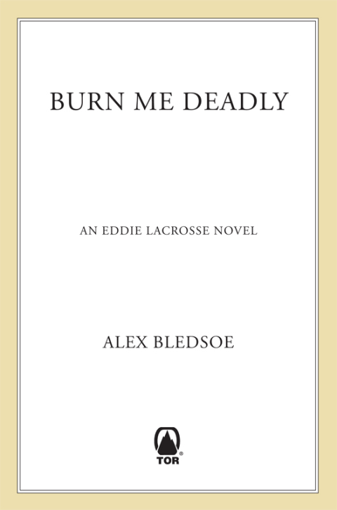 Cover image for book Burn Me Deadly