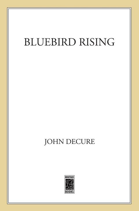 Cover image for book Bluebird Rising