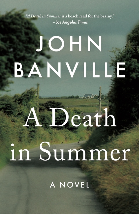 Cover image for book A Death in Summer