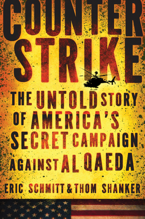Cover image for book Counterstrike