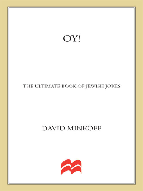 Cover image for book Oy!