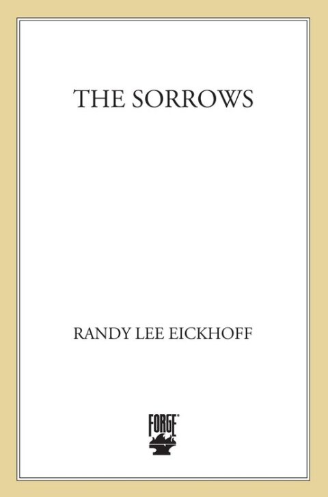 Cover image for book The Sorrows