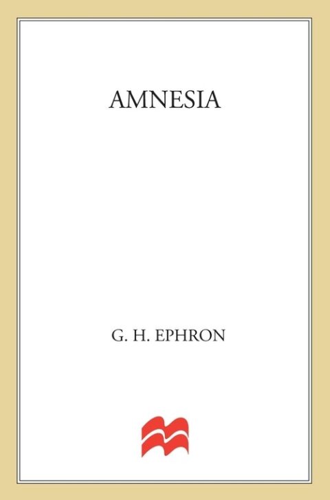 Cover image for book Amnesia