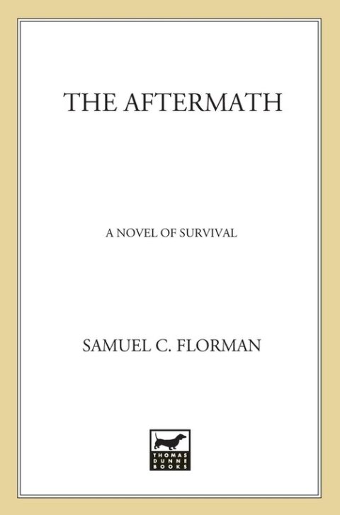 Cover image for book The Aftermath