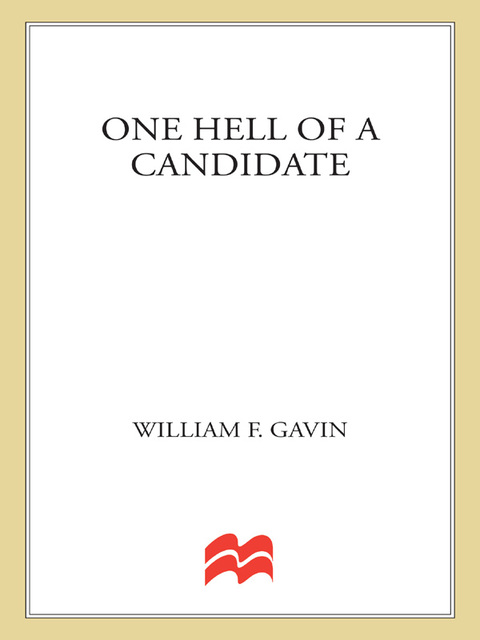 Cover image for book One Hell of a Candidate