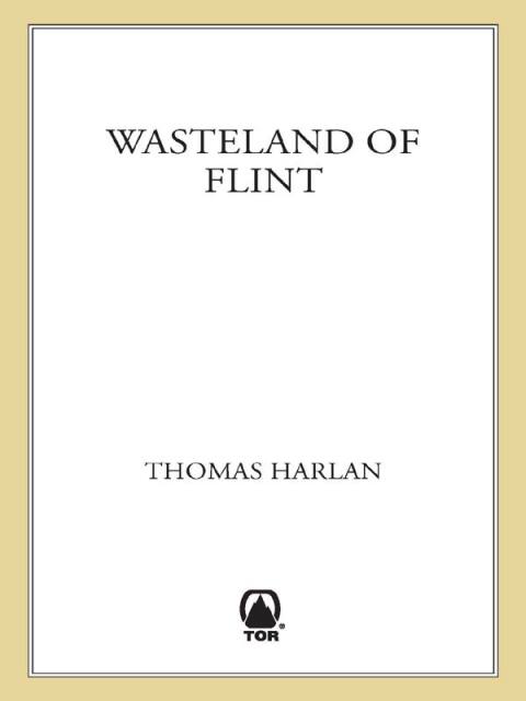 Cover image for book Wasteland of Flint