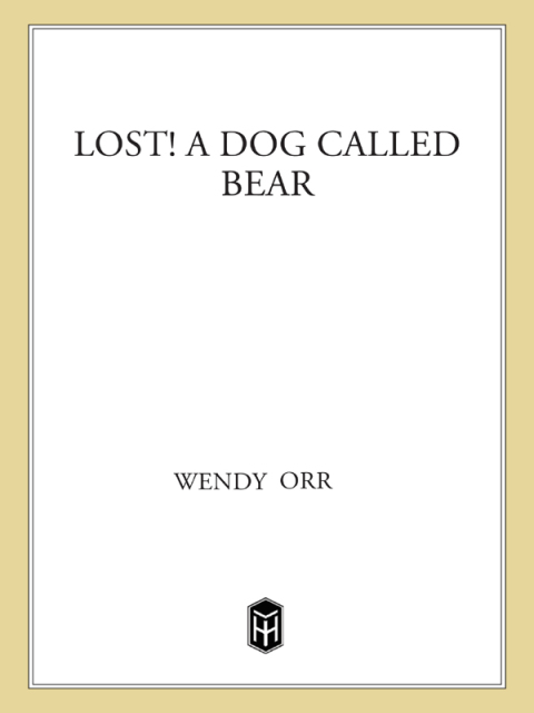 Cover image for book Lost! A Dog Called Bear