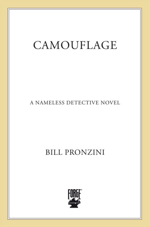 Cover image for book Camouflage