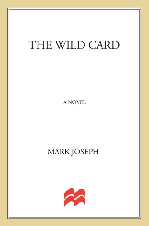 Cover image for book The Wild Card