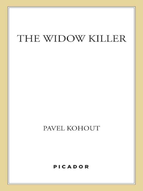 Cover image for book The Widow Killer