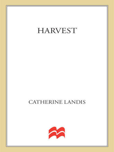 Cover image for book Harvest