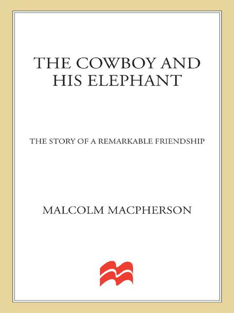 Cover image for book The Cowboy and His Elephant