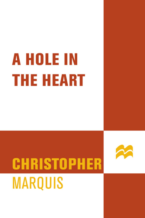 Cover image for book A Hole in the Heart