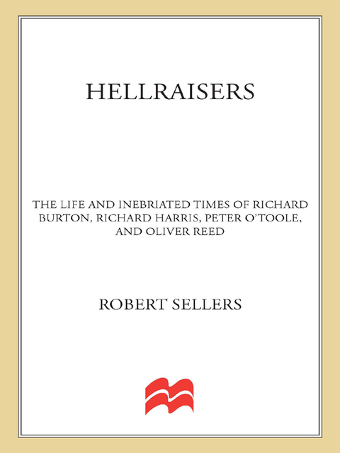 Cover image for book Hellraisers