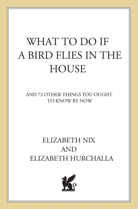 Cover image for book What to Do If a Bird Flies in the House