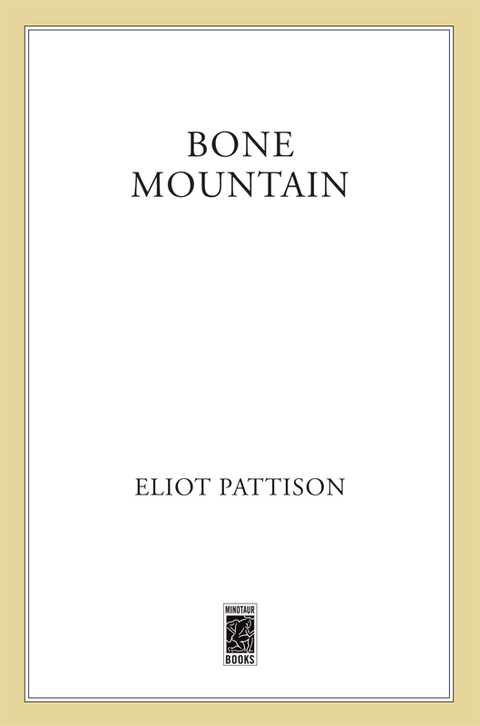 Cover image for book Bone Mountain